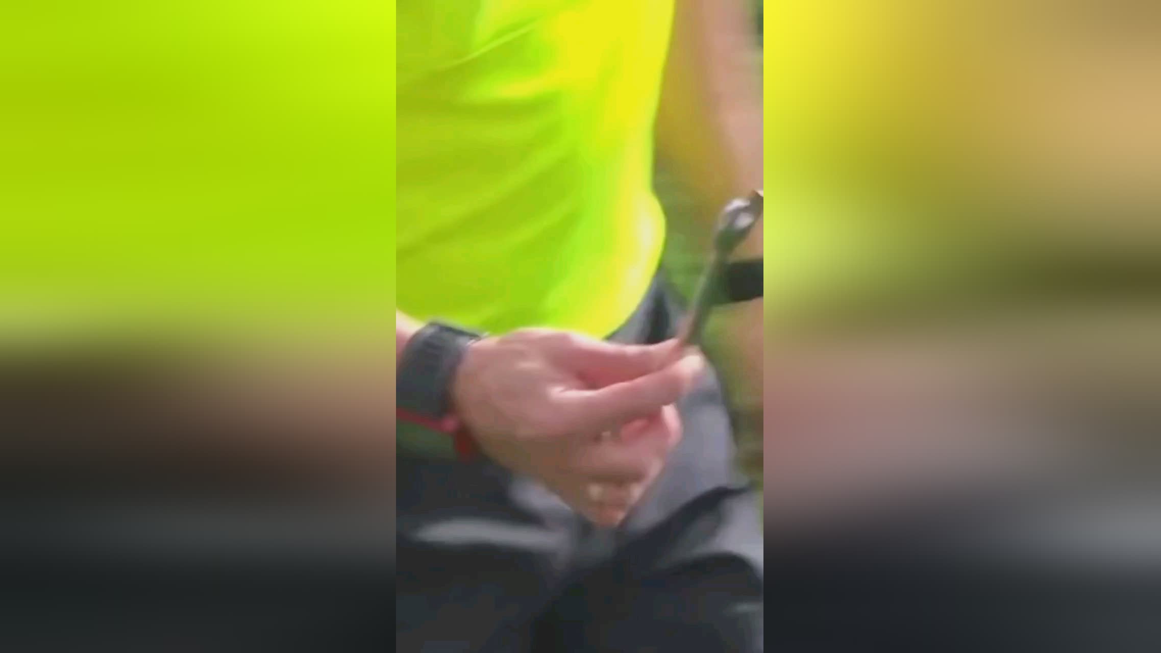 尔的足